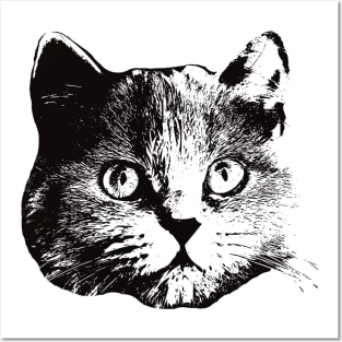 British Longhair gift for British Longhair Cat Owners Posters and Art